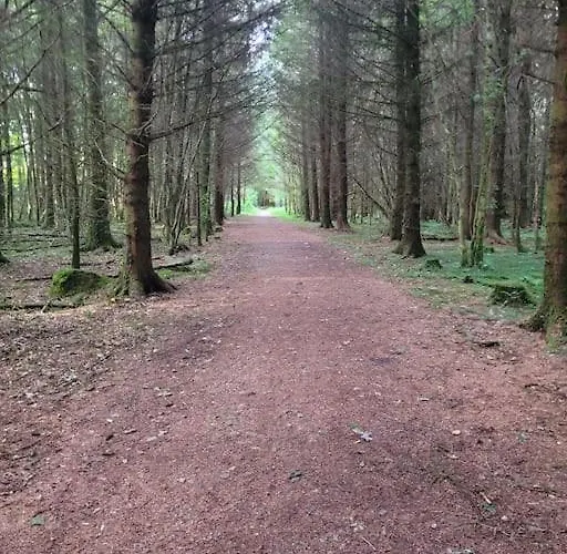 公寓 Glenwood Near Ballybofey *